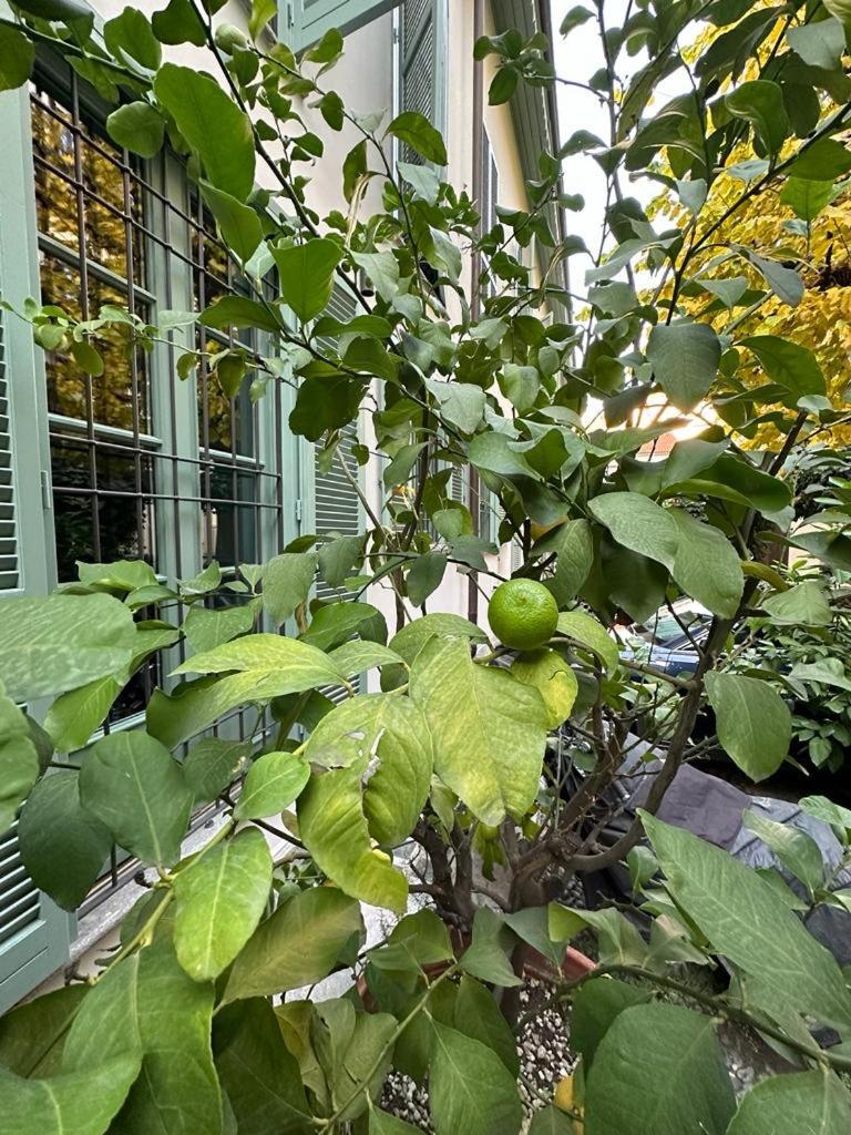 Della Rocca Urban Relais Apartment Turin Exterior photo